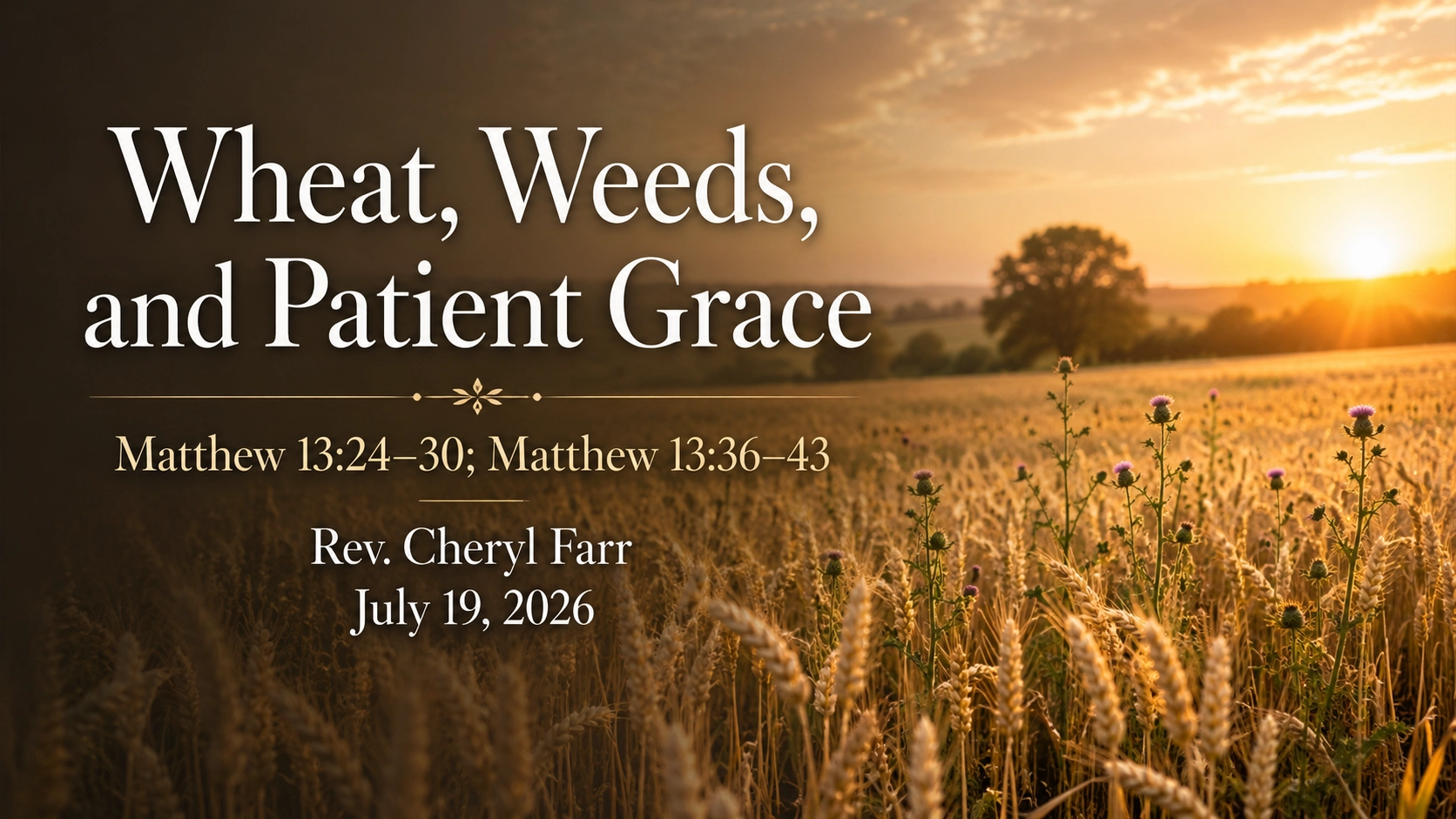 Wheat Weeds and Patient Grace
